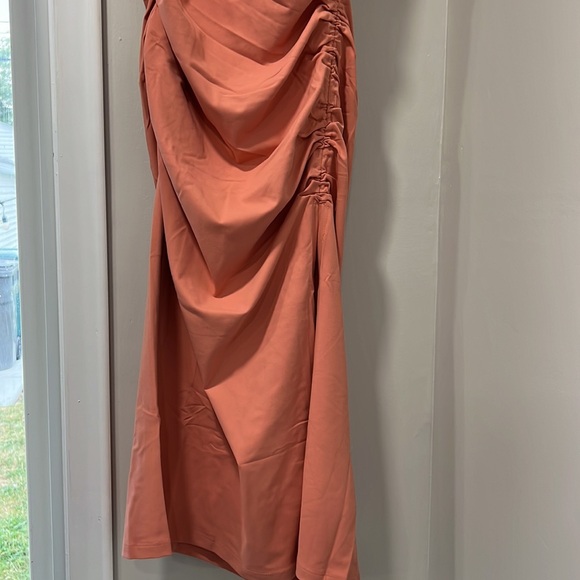 Susana Monaco Ruched Dress in Blush - Picture 3 of 7